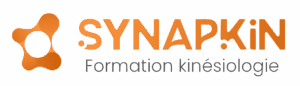 Logo ecole synapkin